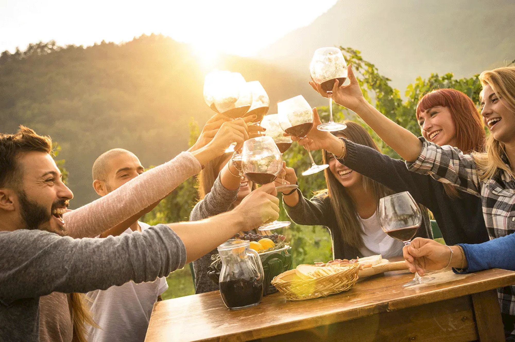A group of people joyfully toasting with wine glasses outdoors, surrounded by nature and sharing a table with snacks, under warm sunlight.