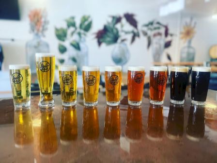 A variety of beer glasses lined up on a reflective surface, each filled with different shades of beer, featuring a logo.