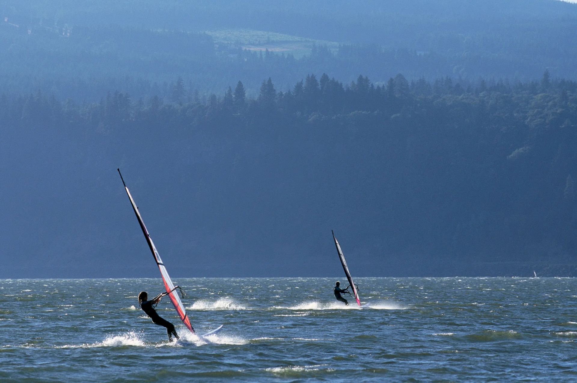 Two people windsurfing on open water with a forested landscape in the background under a clear blue sky.