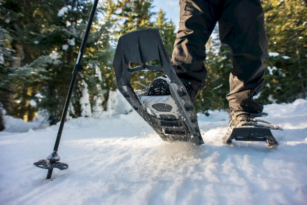 A person snowshoeing through a snowy forest, using trekking poles, surrounded by trees and winter scenery in clear daylight.