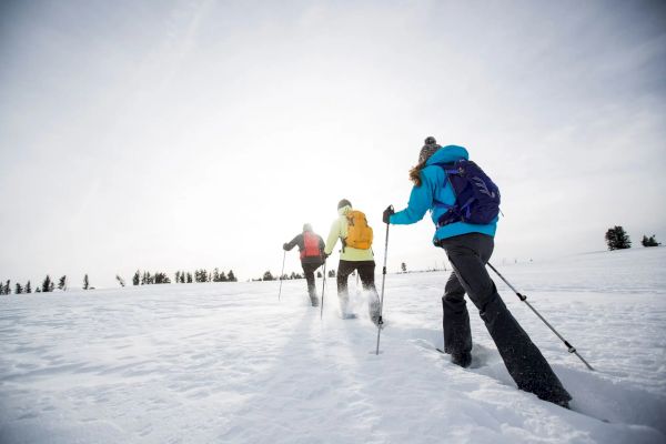 Three people in winter gear are hiking with poles across a snowy landscape, surrounded by a few trees in the distance.