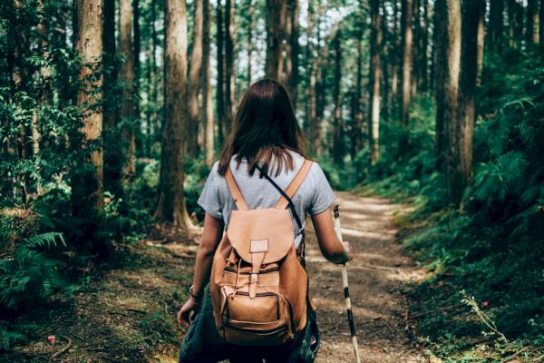 A person with a backpack is walking on a forest trail, surrounded by tall trees and greenery, holding a walking stick.