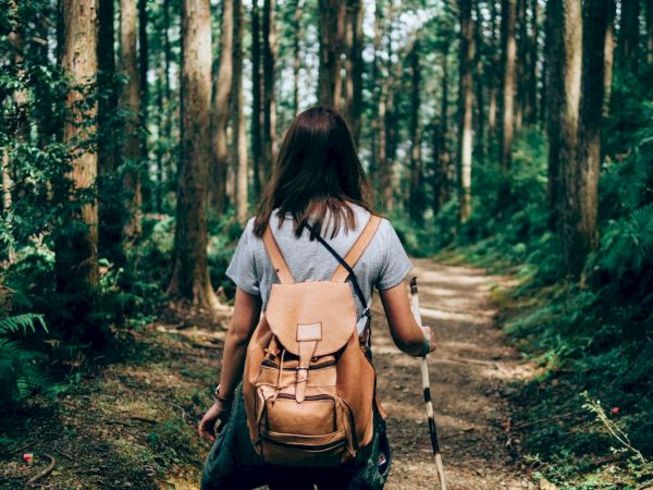 A person with a backpack is walking on a forest trail, surrounded by tall trees and greenery, holding a walking stick.