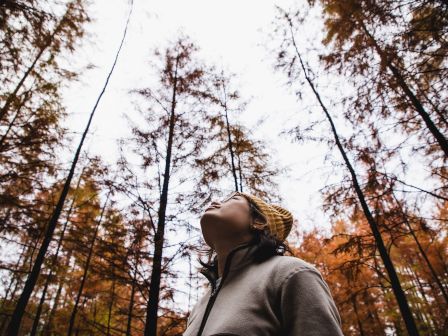 A person in a beanie looks up at tall autumn trees, surrounded by orange and brown foliage.