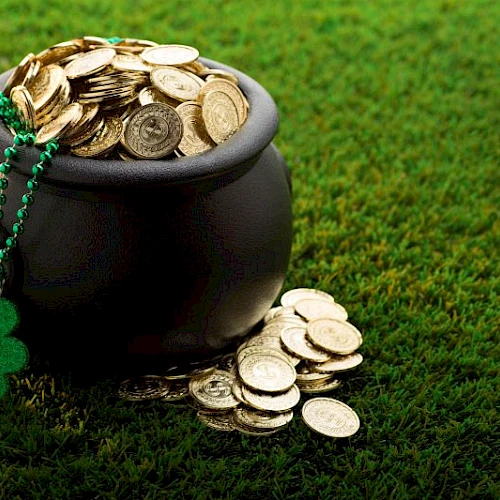 A pot filled with gold coins, a shamrock necklace hangs on the side, placed on lush green grass.