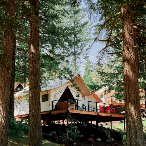 A cabin surrounded by tall trees, built on a raised deck in a forest setting, with clear skies visible through the greenery.