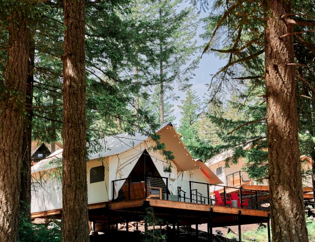A cabin surrounded by tall trees, built on a raised deck in a forest setting, with clear skies visible through the greenery.