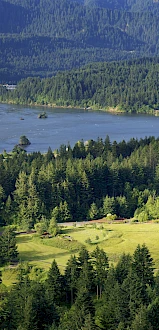 A lush landscape features a forest, a large building, a winding river, and a distant bridge beneath a backdrop of hills.