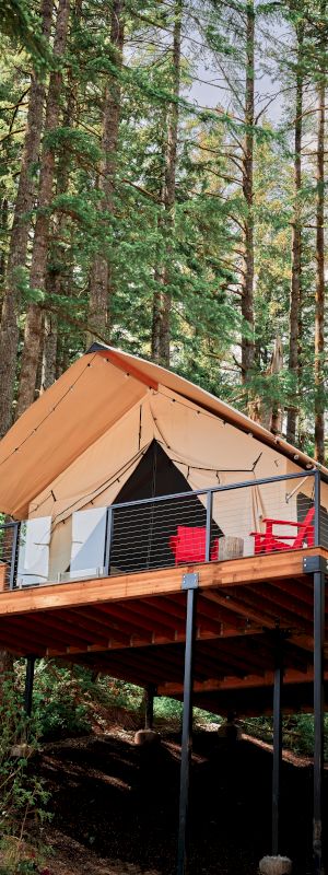 A cabin-style tent on a raised wooden platform in a forested area with two red chairs on the deck among tall trees.