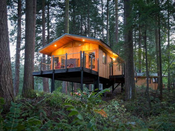 A wooden cabin elevated on stilts stands amidst tall trees in a forest, with warm lights glowing, creating a cozy and inviting atmosphere.