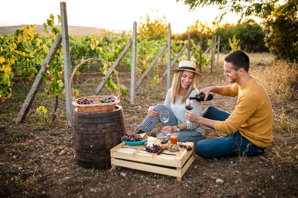 A couple enjoys a picnic, sitting on the ground with a table of snacks, in a vineyard setting.