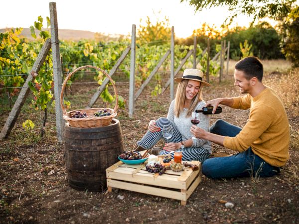 A couple enjoys a picnic, sitting on the ground with a table of snacks, in a vineyard setting.