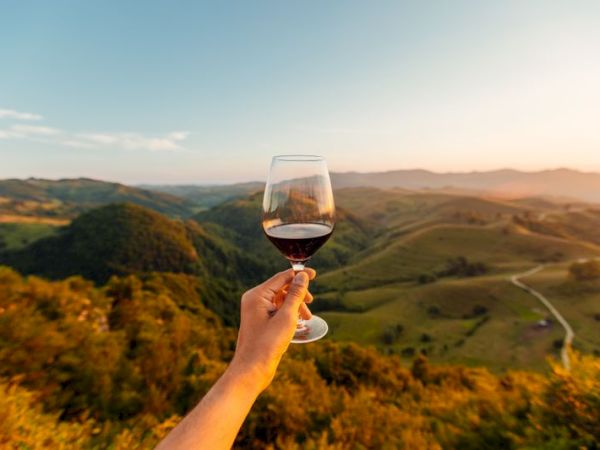 A hand holds a glass of red wine against a scenic backdrop of rolling hills and a winding road at sunset.