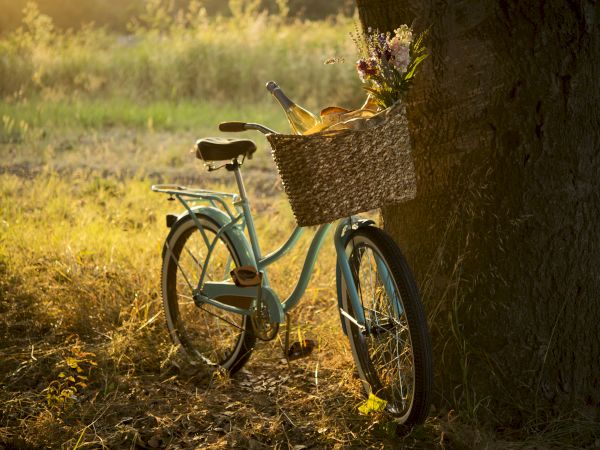 A vintage bicycle leans against a tree, with a basket carrying a wine bottle, baguette, and flowers, set in a sunlit grassy field.