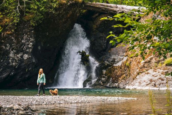 A person and a dog stand near a tranquil river, with a waterfall cascading down rocks and lush greenery surrounding them.