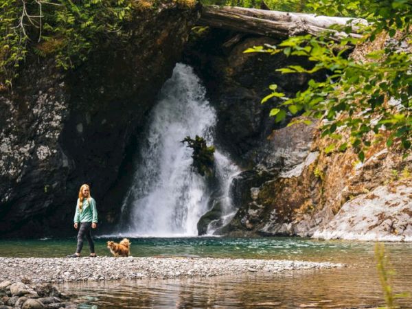 A person and a dog stand near a tranquil river, with a waterfall cascading down rocks and lush greenery surrounding them.