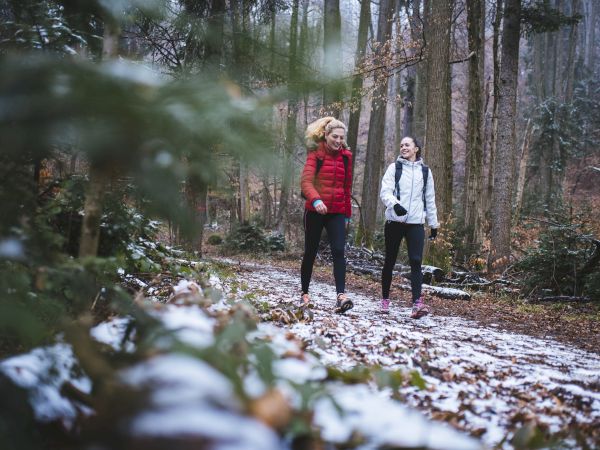 Two hikers stroll through a snowy forest trail, wearing jackets and backpacks, chatting amid tall trees.