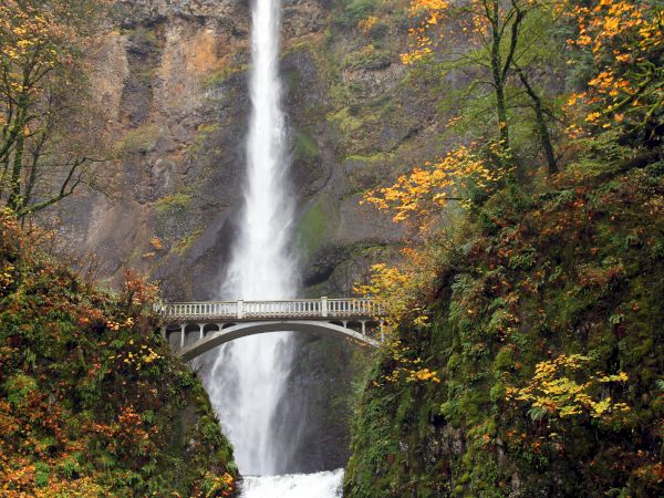 A waterfall cascades behind a bridge surrounded by autumn foliage in a forested area, creating a serene and picturesque scene.