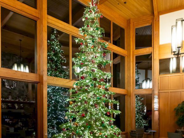 A beautifully decorated tall Christmas tree with lights and ornaments stands in a warmly lit wooden room, surrounded by wrapped gifts.
