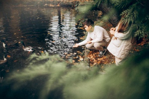A person crouches by a pond, feeding ducks while another stands nearby, surrounded by greenery and autumn leaves.