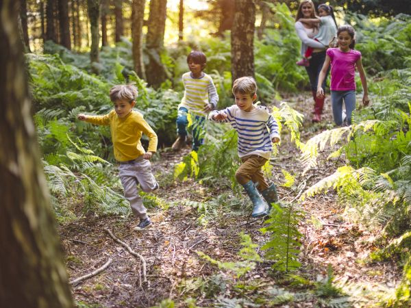 Children are running through a lush, sunlit forest, with a woman and another child following behind them.