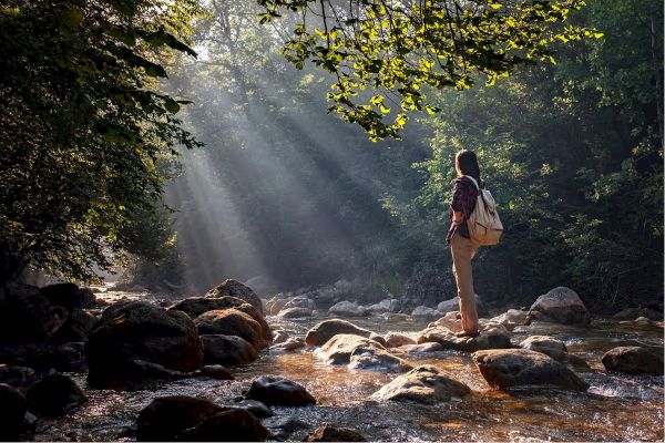 A person standing on rocks in a sunlit forest stream, surrounded by trees, with light rays filtering through the foliage.