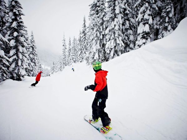 People are snowboarding down a snowy slope surrounded by snow-covered trees.