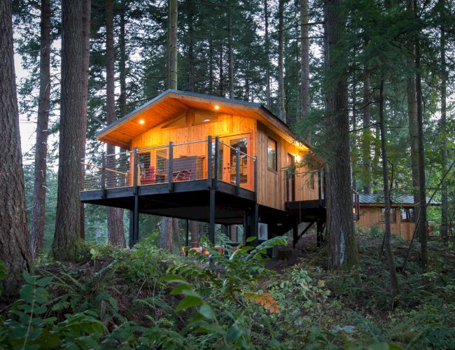 A cozy cabin elevated on stilts amidst tall trees, with warm lighting, creating a serene and inviting atmosphere in the forest setting.