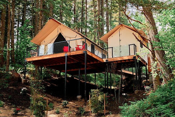 Two modern cabins on stilts are nestled among tall trees in a forest setting, with a clear sky above and surrounding greenery.