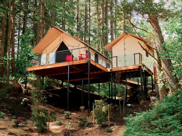 Two modern cabins on stilts are nestled among tall trees in a forest setting, with a clear sky above and surrounding greenery.