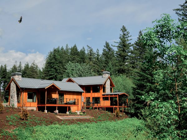A wooden house with a metal roof is nestled among lush green trees, with a bird soaring in the clear blue sky above.