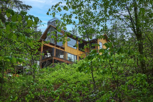 A wooden house with stone chimney nestled among lush green trees, viewed from below.