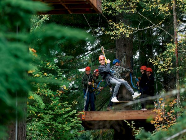 People wearing helmets and harnesses are zip-lining through a forested area, surrounded by green trees and foliage.