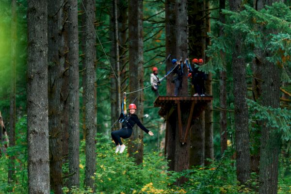 A person zip-lining through a lush forest, others wait on a platform wearing helmets and harnesses.