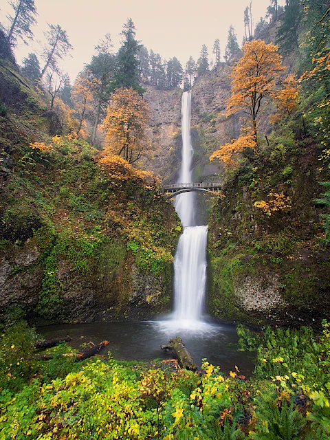 A scenic waterfall with a bridge, surrounded by lush greenery and autumn trees, descends into a tranquil pool below.