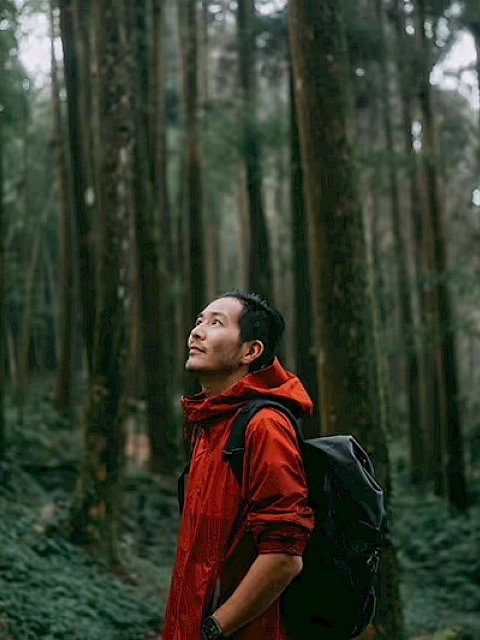 A person in a red jacket and backpack stands in a lush forest, looking upwards surrounded by tall trees and greenery.