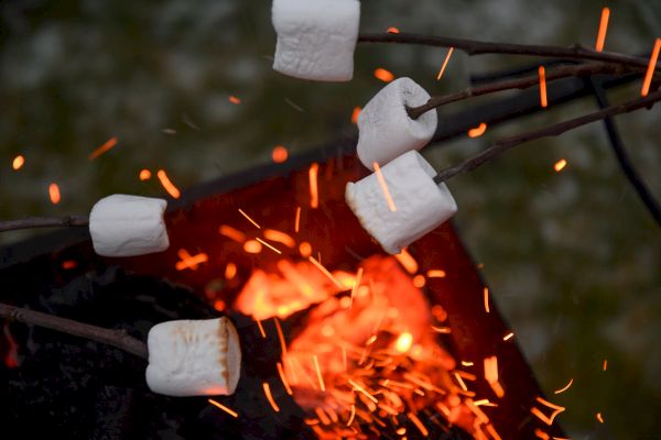 People are roasting marshmallows over an open flame with sparks flying.