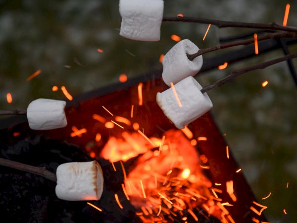 People are roasting marshmallows over an open flame with sparks flying.