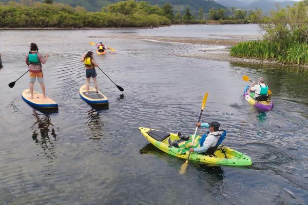 People are kayaking and paddleboarding on a serene body of water surrounded by nature and greenery, enjoying an outdoor activity.