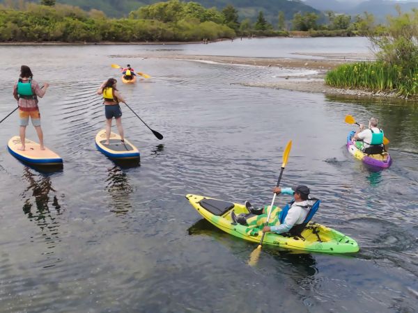 People are kayaking and paddleboarding on a serene body of water surrounded by nature and greenery, enjoying an outdoor activity.