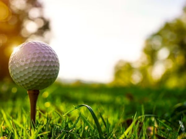 A golf ball on a tee in a grassy field with sunlight filtering through trees in the background.