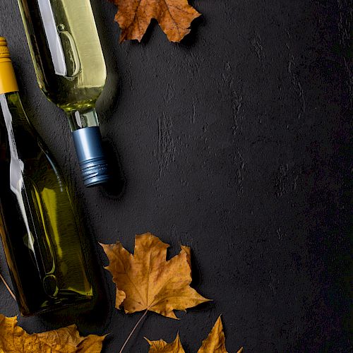 Two wine bottles with yellow and blue caps are surrounded by dried autumn leaves on a dark surface, creating a cozy seasonal vibe.