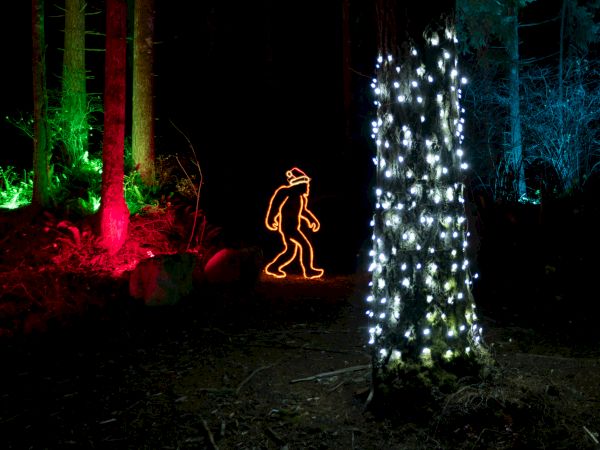 A forest scene with colorful lights illuminates trees and a Bigfoot-shaped light display.