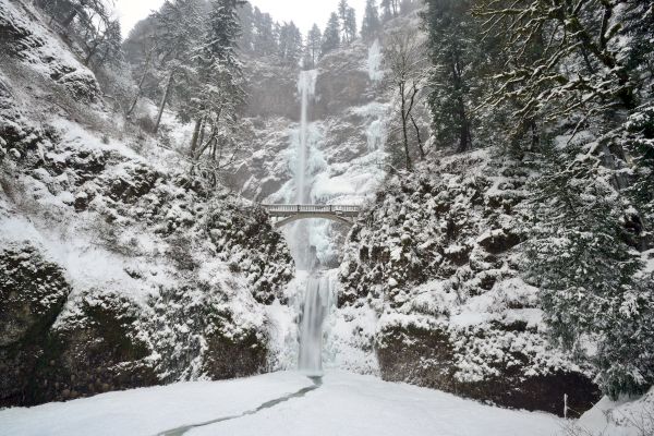 A snowy landscape featuring a waterfall cascading down rocky cliffs, with a bridge spanning in front. Trees are covered in snow.