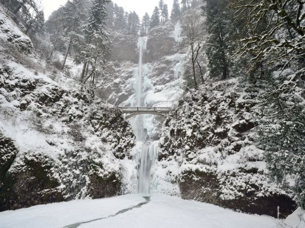 A snowy landscape featuring a waterfall cascading down rocky cliffs, with a bridge spanning in front. Trees are covered in snow.