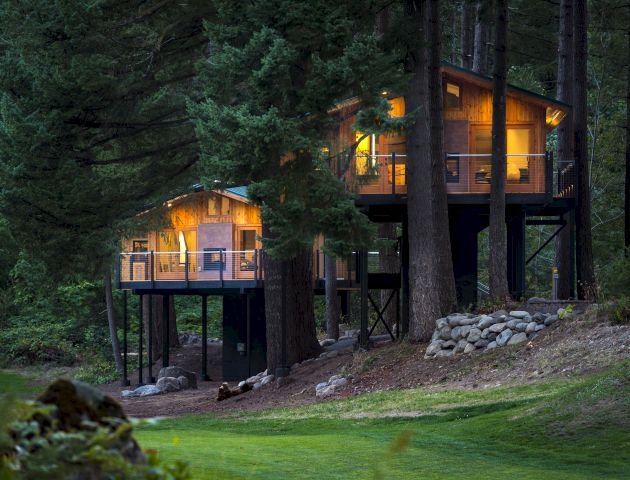 Two illuminated treehouses nestled among tall trees in a forest setting, elevated on stilts, with a grassy area in the foreground.